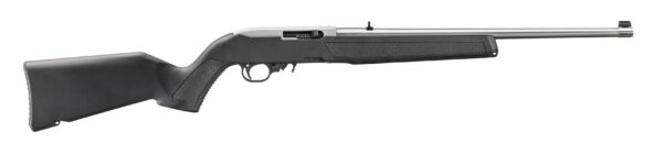 Ruger 10-22